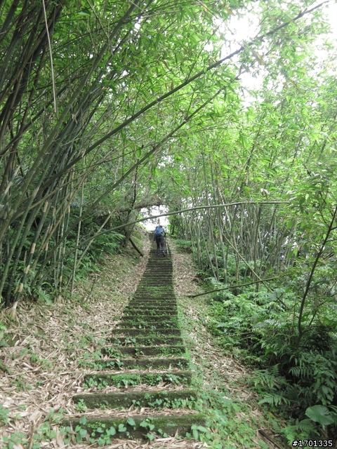 平溪東勢格古道