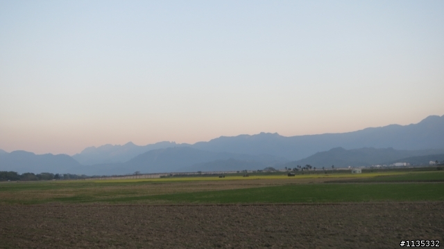 元月花東縱谷行