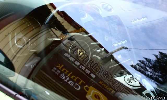 139縣道~漂亮的小牛(多圖分享)