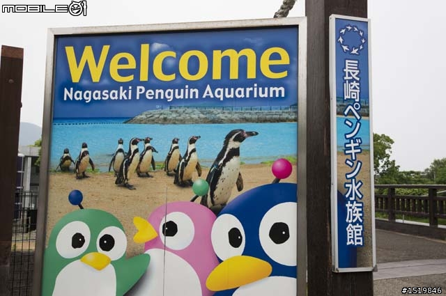 分享！喜歡企鵝的大大必到！長崎ペンギン水族館