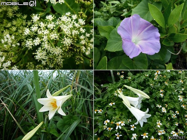 北方三島－花瓶嶼、彭佳嶼、棉花嶼