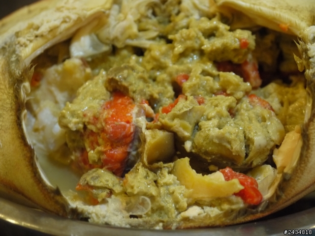 上引水產新同學:愛爾蘭麵包蟹