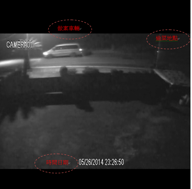 煩請幫忙確認偷菜賊的車輛型號,年份,顏色
