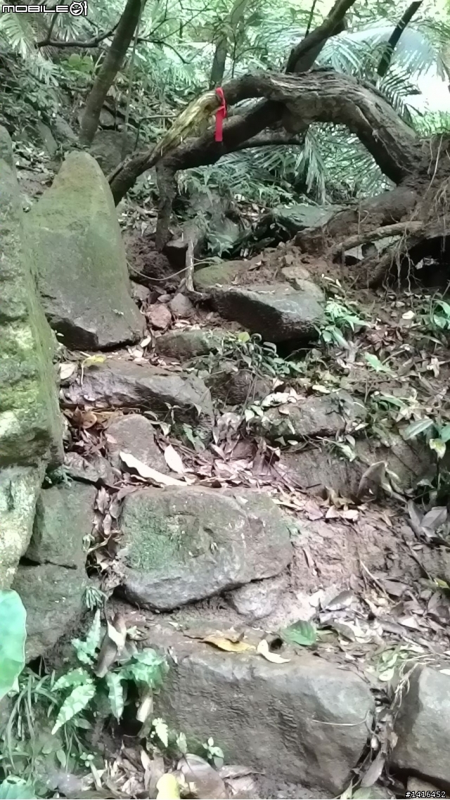 2014.05.17 天母古道初體驗 尋瀑布之旅