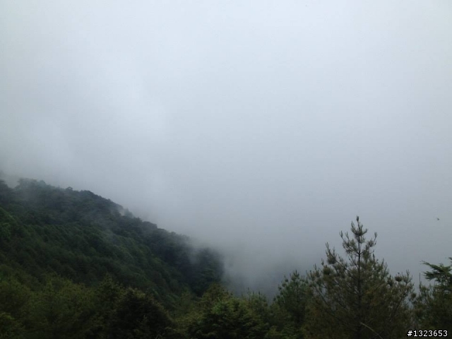 1030526 阿娟的武嶺初體驗