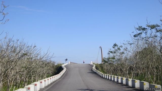 元月花東縱谷行