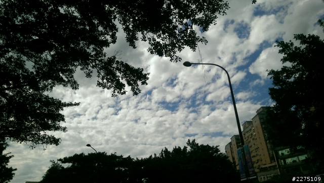 晚上有點惆悵的走在校園忽見月色美景 M7 傷眼照數張
