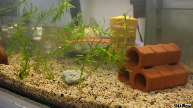 關於魚缸的一些問題 20點喔~
