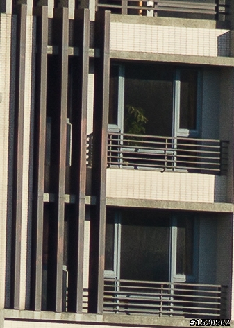 Minolta AF  100-200mm 不專業開箱測試  超冷門.極廉價.難駕馭.CP值超高