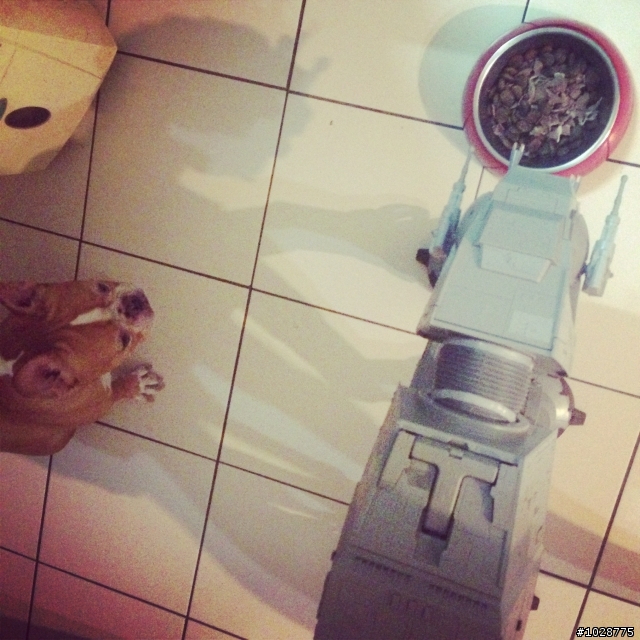 保證01首發>>STARWARS AT-AT