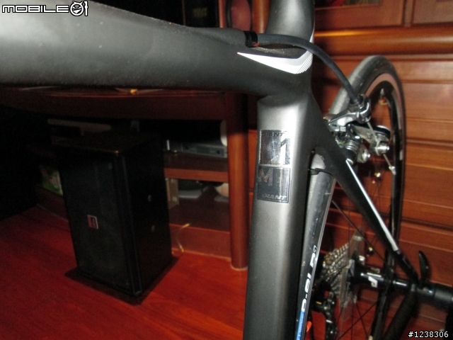GIANT TCR ADVANCED SL 1 ISP 開箱