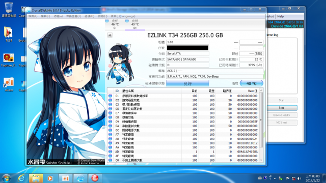 Ezlink T-34 256GB 壽命測試 (2015/3/22更新)~終點。