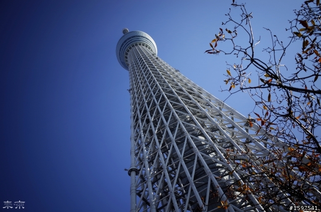 『遊記』東京行者 TOKYO WALKER