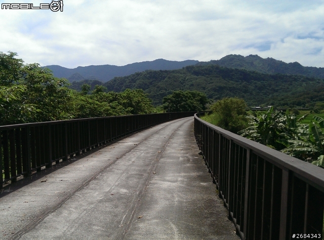 ABC小熊騎上樂活自行車道