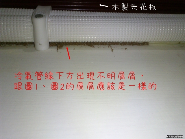 help！請問這個是蟲害造成還是？（103/05/22更新於7F）