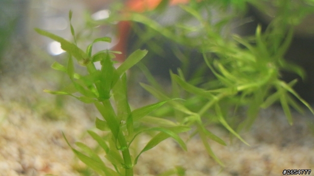 關於魚缸的一些問題 20點喔~