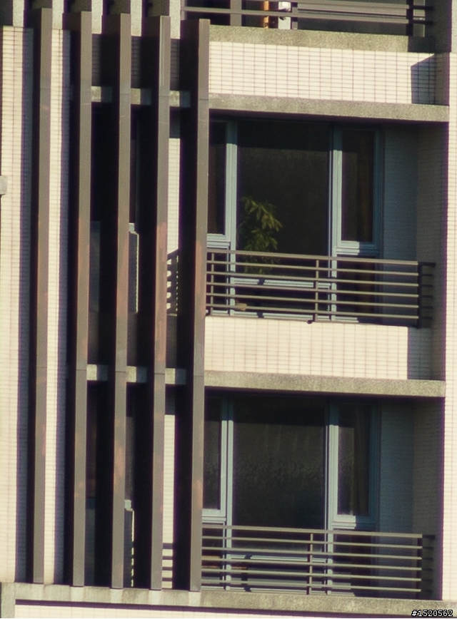 Minolta AF  100-200mm 不專業開箱測試  超冷門.極廉價.難駕馭.CP值超高