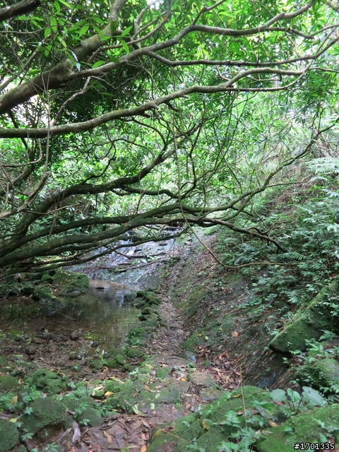平溪東勢格古道
