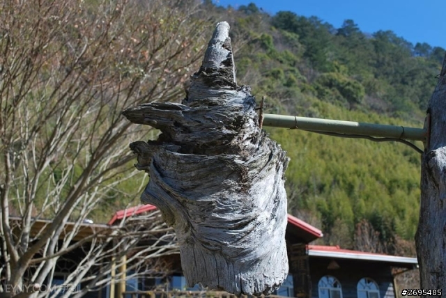 司馬庫斯很正點