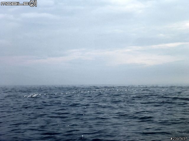 北方三島－花瓶嶼、彭佳嶼、棉花嶼