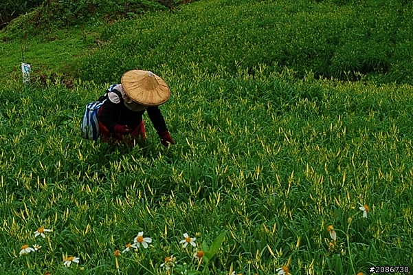 台灣真美--半環島