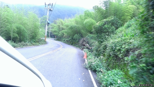 Ford Ecosport 甜心開團趣-竹山天梯一日遊
