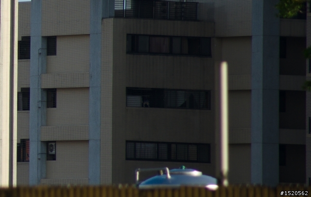 Minolta AF  100-200mm 不專業開箱測試  超冷門.極廉價.難駕馭.CP值超高