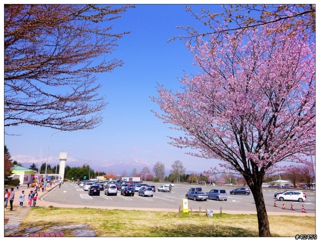 [SKYWAVE TYPE-S]日本東北一周紀行DAY-2「宮城―岩手」