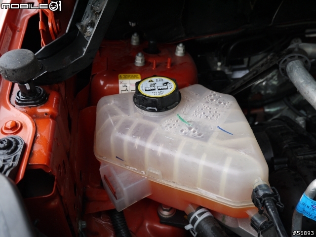 Ford Eco Sport 試駕出遊去