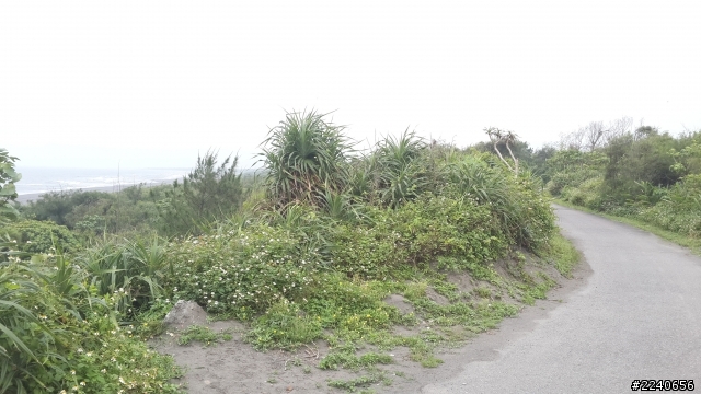 單車浪島~25天