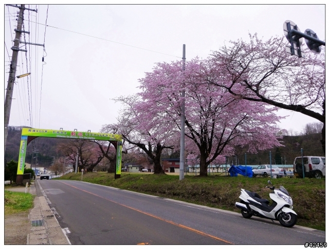 [SKYWAVE TYPE-S]日本東北一周紀行DAY-3 「岩手―青森」