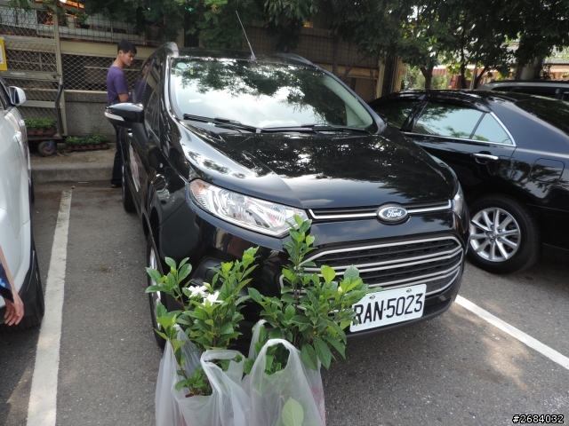 Ford Ecosport 24小時甜心開團趣