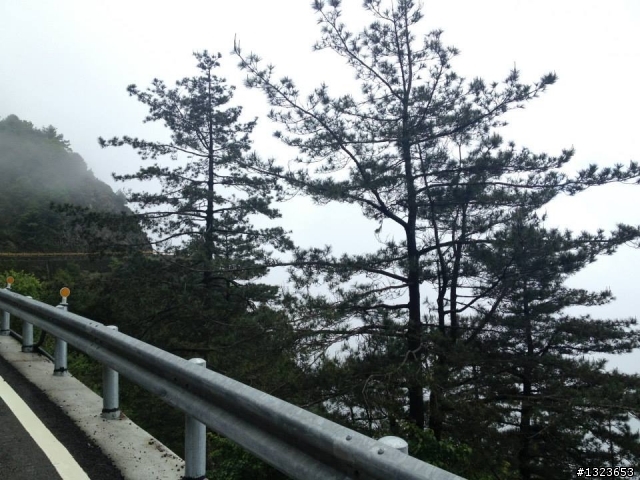 1030526 阿娟的武嶺初體驗