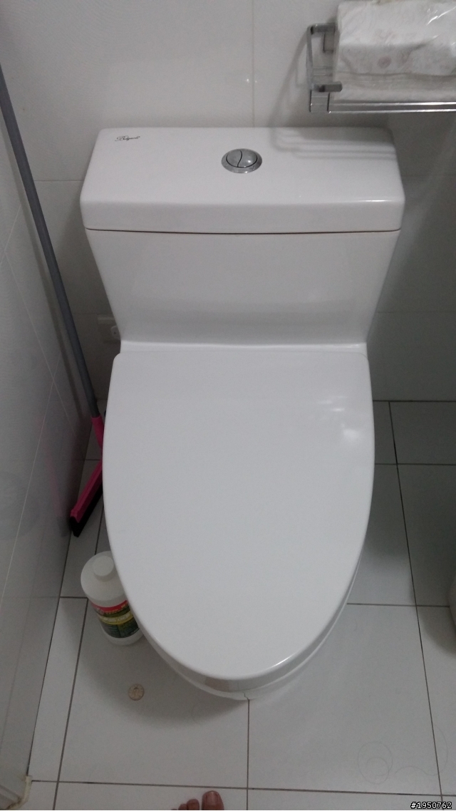 馬桶蓋拆裝求助