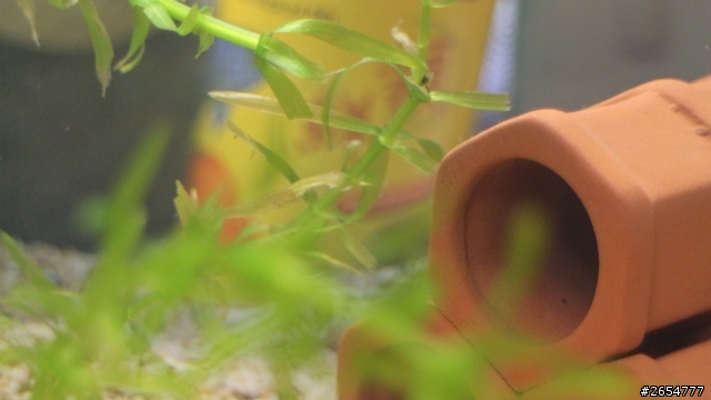 關於魚缸的一些問題 20點喔~