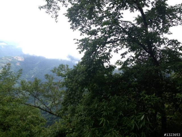 1030526 阿娟的武嶺初體驗
