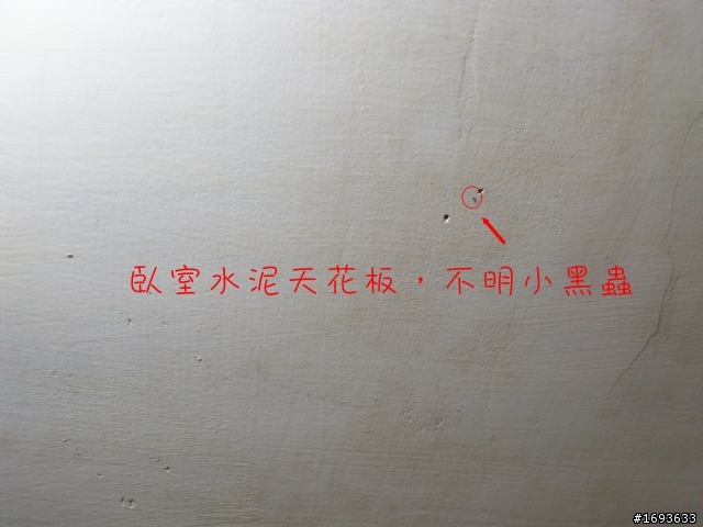 help！請問這個是蟲害造成還是？（103/05/22更新於7F）