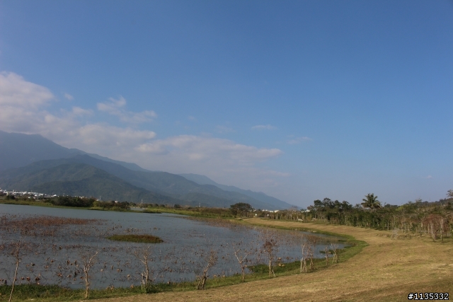 元月花東縱谷行
