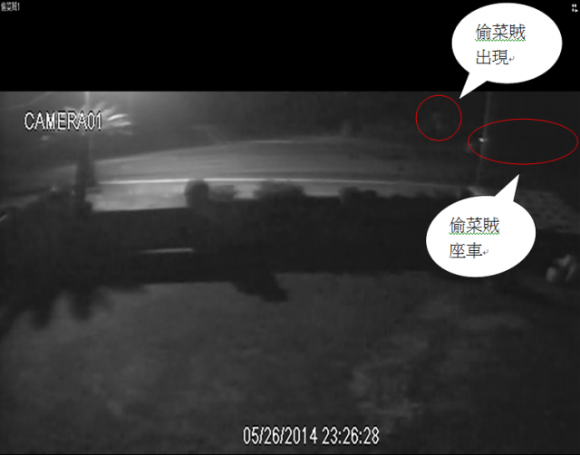 煩請幫忙確認偷菜賊的車輛型號,年份,顏色