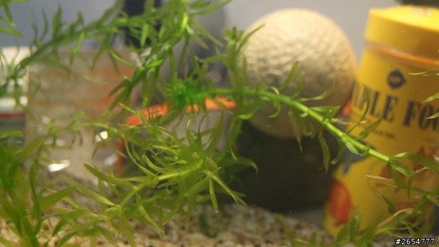 關於魚缸的一些問題 20點喔~