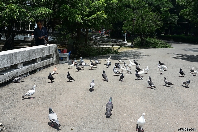 屏東美術館：台灣第一座且唯一之鄉鎮市級美術館‧屏美館