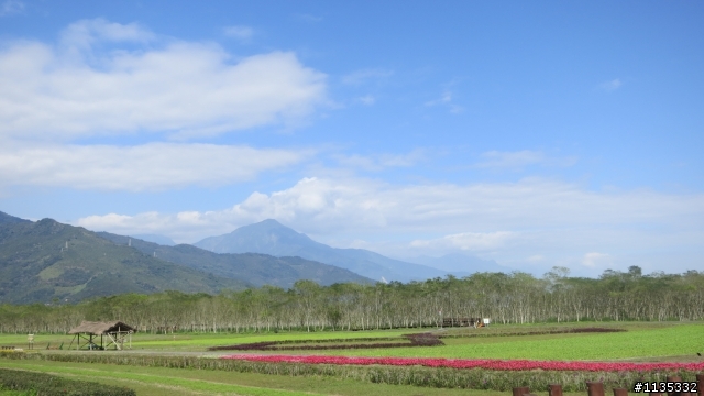 元月花東縱谷行