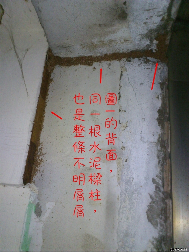 help！請問這個是蟲害造成還是？（103/05/22更新於7F）