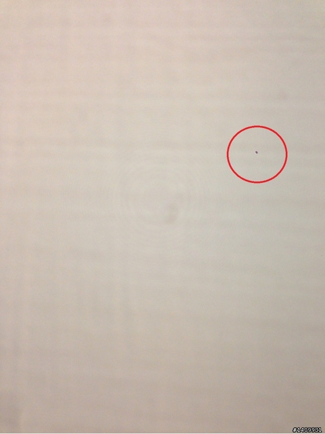 請問IPHONE鏡頭這是入塵還是鏡頭壞了??