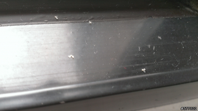 請問有誰知道是什麼蟲嗎