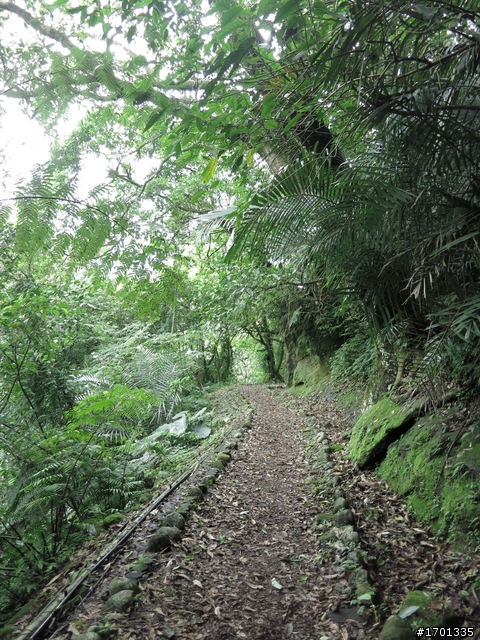 平溪東勢格古道
