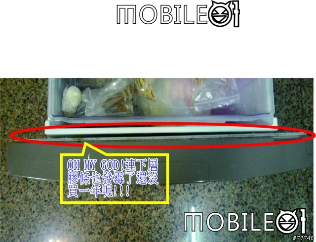 聲寶牌電冰箱SR-L53DV三門，冰箱本體靠近門邊全部有冷霧氣還凝結成水滴，產生膠條發霉發黑洗不掉!!