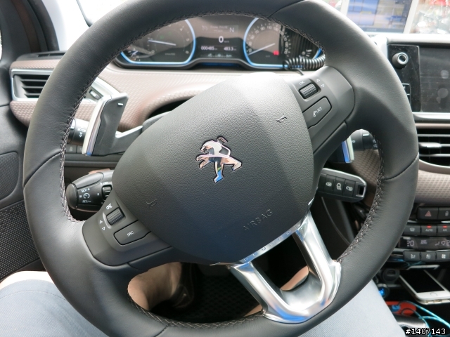 [分享]Peugeot 2008眼界無限-台中一日遊