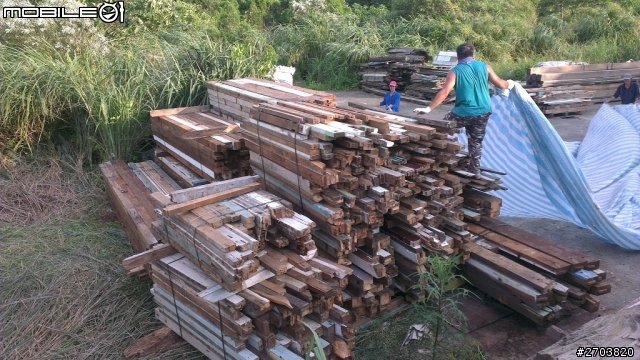 花蓮市 溝上人家 溝仔尾 拆除整理完畢的臺灣檜木材料