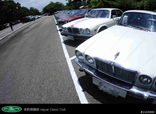 老豹俱樂部車聚照片分享